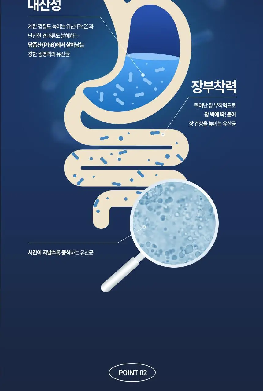 [부자유산균]CJ BYOCORE 건강한 500억 유산균(30+3기획) 상세페이지 8